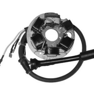 Piaggio ape fl fl2 50 statore generatore ducati energia 1989 1995 Offerta