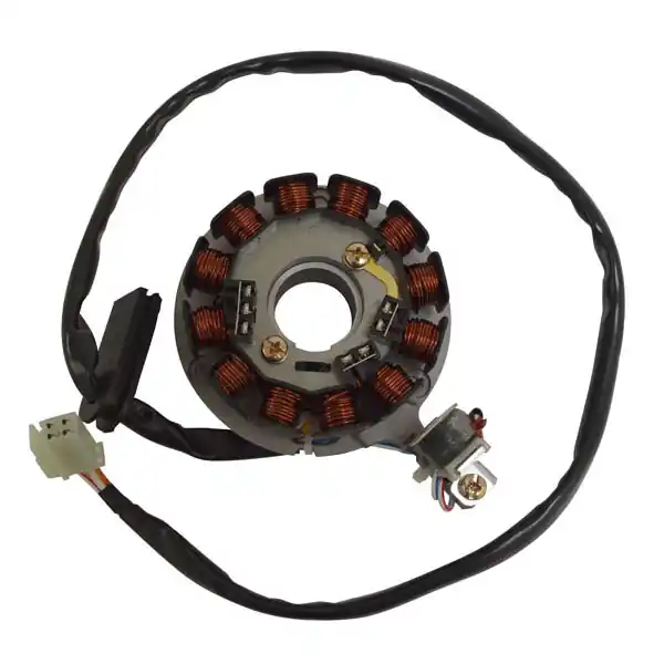 Betamotor rr enduro am6 k/s e2 50 statore 12 poli 2007 2007 Prezzo Scontato