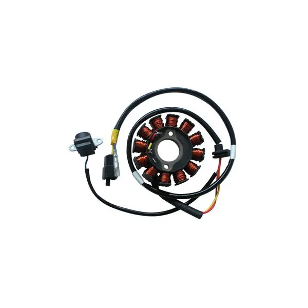 Popolare Kymco people e3 125 statore sgr 12 poli 2007 2013