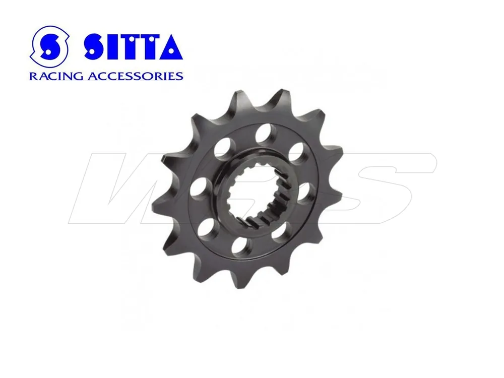 PIGNONE SITTA BMW F 650 GS / SE 2008-2009- Affare