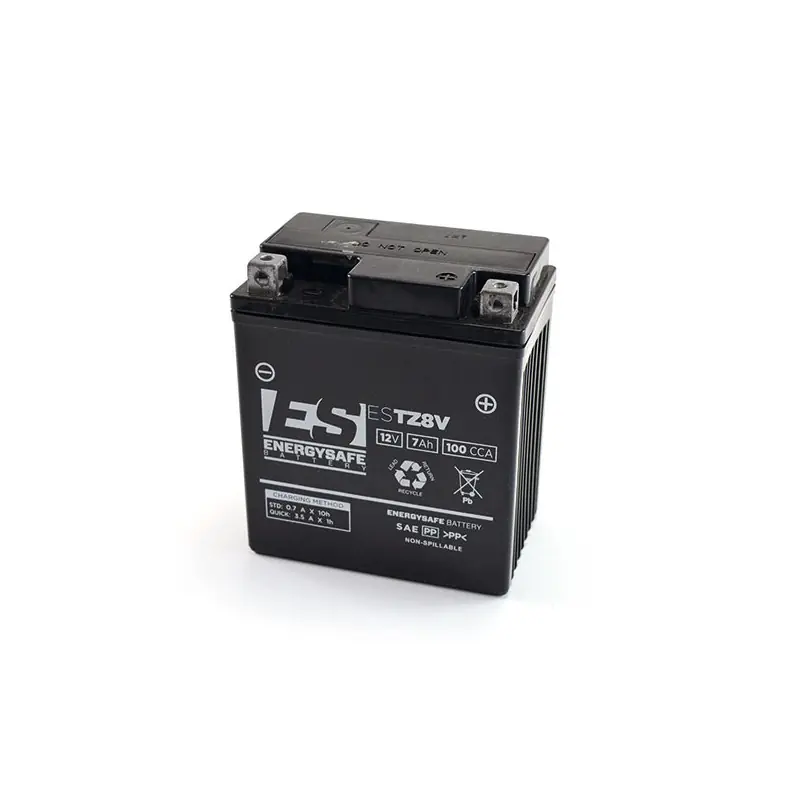 Sconto BATTERIA ENERGYSAFE ESTZ 8V (S