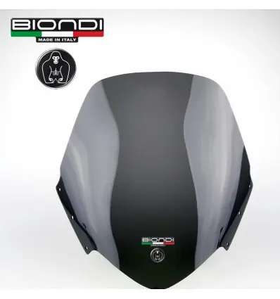 Affare Cupolino Biondi fumè Yamaha Majesty 400 04-08-