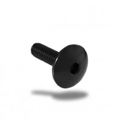 Vite in ergal 003 testa bombata passo 8x45mm-Argento Esclusivo