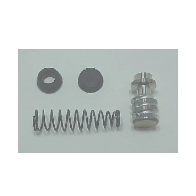 Professionale Kit rev.pompa freno ant.kawa kle 650 versys 09-12