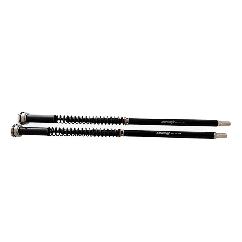 Cartuccia Andreani Misano Evo 2 Trident 660- Bestseller