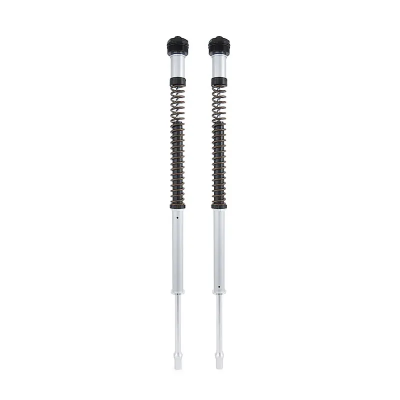 Cartuccia Ohlins Nix 22 HD Softail Fat Boy- Promozione