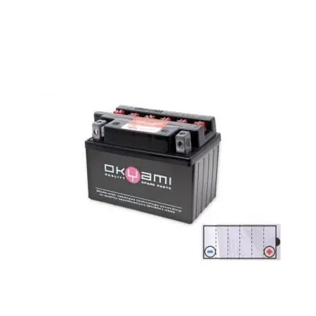 Reso Gratuito OKYAMI BATTERIA 6N4-2A-4-