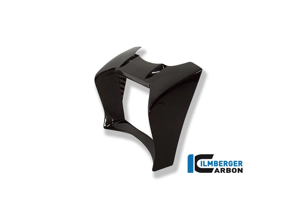 Ultime Pezzi COVER RADIATORE OLIO CARBONIO ILMBERGER BMW R 1200 R 2007-2010-