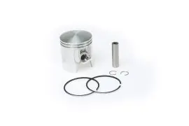 Occasione Imperdibile PISTONE 2T Ø 47,8 con spinotto Ø 10 e 2 segmenti rettangolari - MALOSSI 348446.80