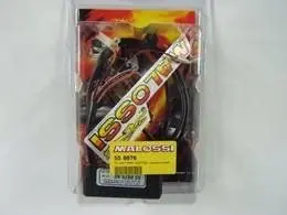 Acquista Ora 558676 - Malossi centralina elettronica