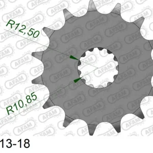 Ordina Subito Pignone AFAM 28400NR-17 Passo 530 Con Gomma Antirumore KAWASAKI VN 800 1997  -2004
