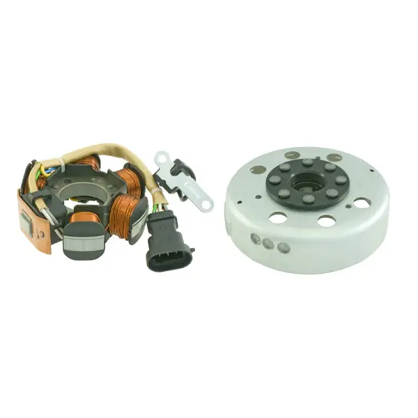 Volano completo RMS Aprilia/Piaggio 50cc  per APRILIA SR MOTARD 2T 50 2012 - 2014 Quantità Limitata