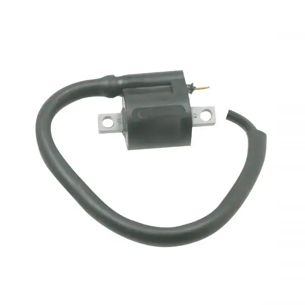 Bobina accensione RMS Mbk/Yamaha 50cc per MBK CW BOOSTER 50 2001 - 2002 Prezzo Di Fabbrica